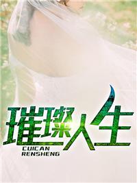 上门龙婿叶辰完整版免费全文阅读2856