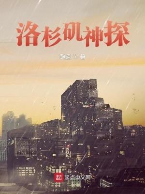 洛杉矶神探加料精校
