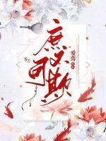 庶乎可矣什么意思