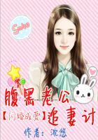 闪婚成爱腹黑老公追妻计 免费阅读全文