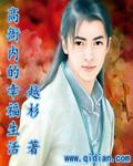高衙内传