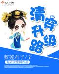 清穿升级路章佳氏结局