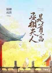 丞相夫人是首富(穿书)作者插柳成荫