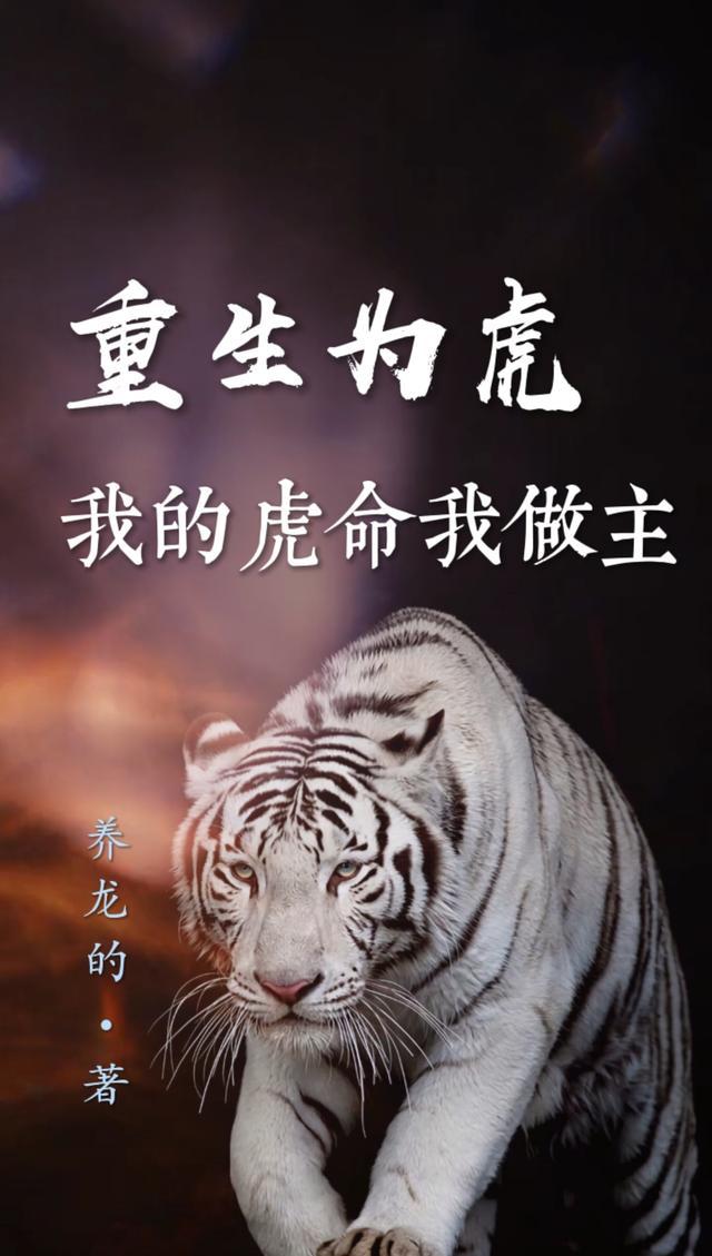 我的虎命我做主的