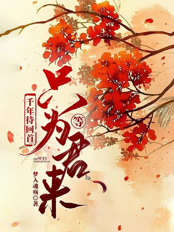 千年等待只为你txt