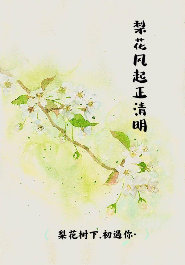 梨花风起正清明短剧免费观看