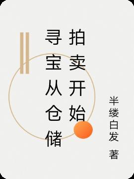 寻宝从仓储拍卖开始TXT奇书网