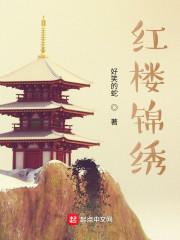 红楼锦绣全本TXT