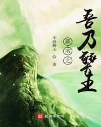 霹雳重生之燹王