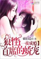 一夜狼性总裁娇宠妻
