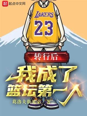 我成了篮坛第一人 在线阅读