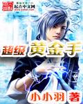 超级黄金手txt笔趣阁无弹窗