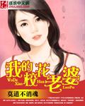 我的老婆是校花女主有几个