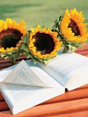 暖暖的爱图片大全