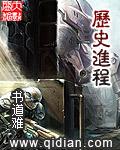 历史进程电视剧全集