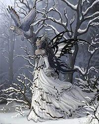 律师前妻