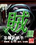 贼胆是词语吗