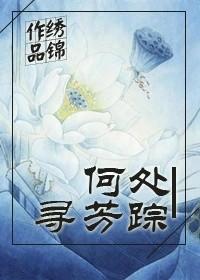 何处寻芳踪的诗句
