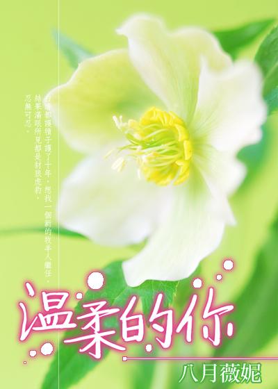 温柔的你gl笔趣阁