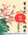 重生之炮灰九福晋晋江