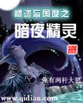 被遗忘的国度 法师
