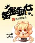 黄金剩女视频