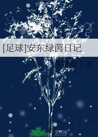 足球安东绿茵日记晋江