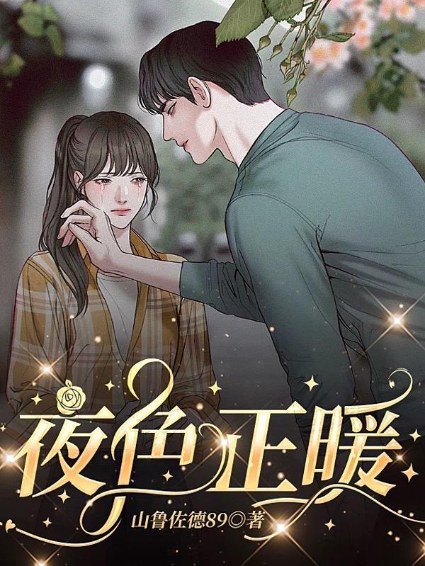 夜色正阑珊这首歌