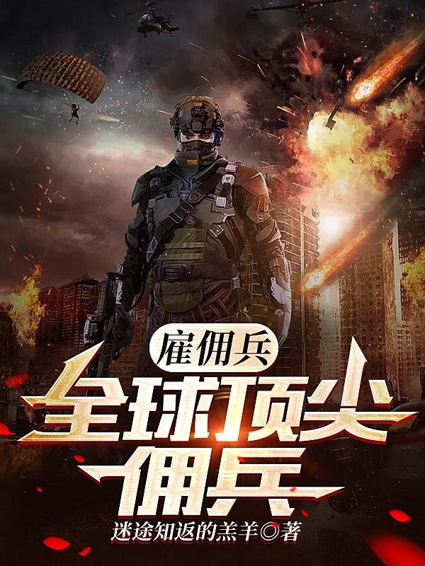 雇佣兵全球顶尖佣兵TXT全集