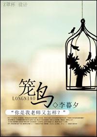 笼鸟笼英文