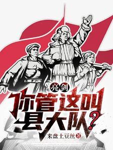 亮剑你管这叫县大队全集免费