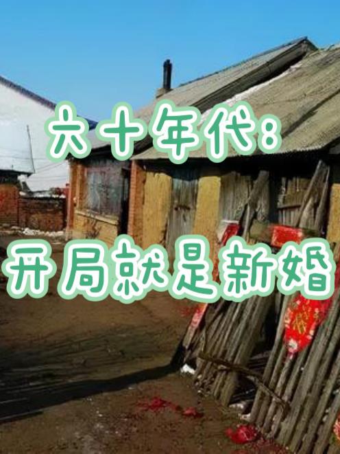 六十年代开局就是新婚栀虞1014 关注