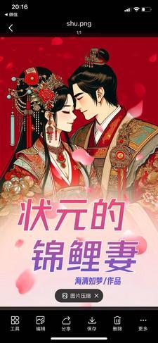 状元的夫人叫什么