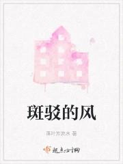 斑驳的风什么意思