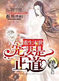 末世之爱妻是正道完整版