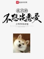 还继续追吗