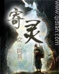 寄灵龟甲效果