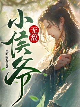 无敌小侯爷 第83章