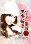 黑少心尖宠喻色