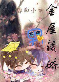 金屋藏娇男讲的什么