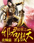 妖孽邪王傲娇妃免费阅读全文