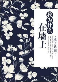 为什么我们有墙