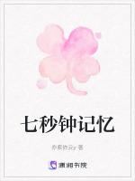 七秒钟的记忆书