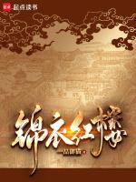 锦衣红楼大结局免费阅读