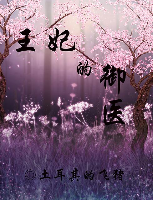 王妃的御医在线阅读