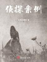 侦探案例by怎么不写了