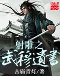 射雕之武穆遗书电视剧免费观看