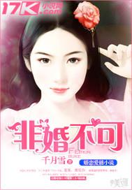 非婚不可简介
