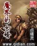 魔界的女婿主角有几个女人