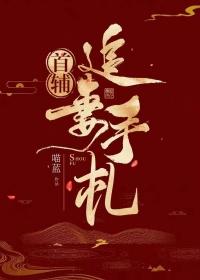 首辅追妻手札TXT